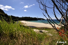 photo no 5