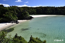 photo no 6