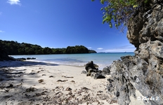 photo no 8