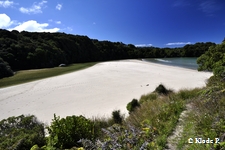 photo no 9