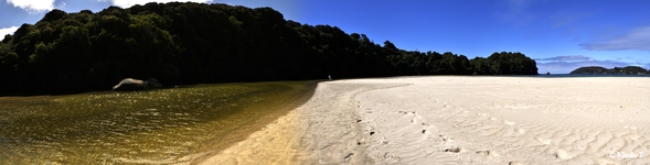 photo no 10