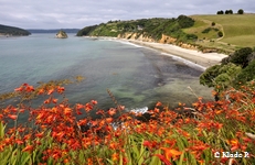 photo no 6