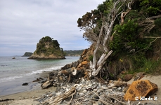 photo no 7