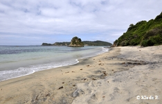photo no 8