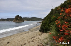 photo no 9