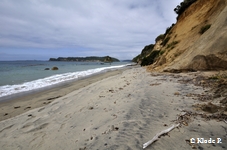 photo no 11