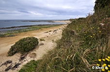 photo no 2