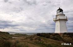 photo no 5