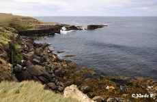 photo no 8