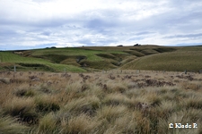 photo no 9