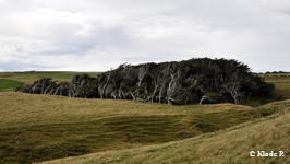 photo no 10