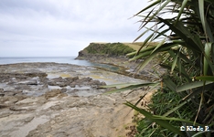 photo no 11