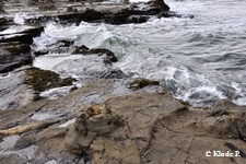 photo no 16