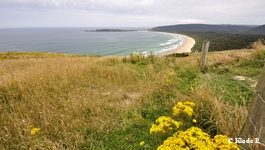 photo no 17