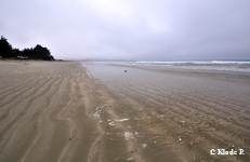 photo no 4