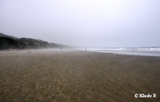 photo no 5