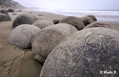 photo no 7