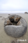 photo no 8