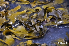 photo no 4