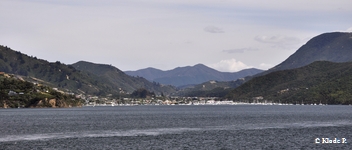 photo no 5