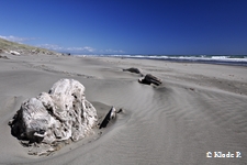 photo no 7