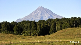 photo no 13