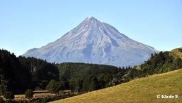photo no 14