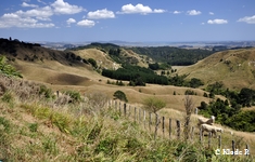 photo no 16