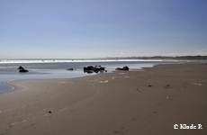photo no 2