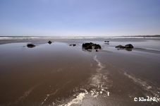 photo no 3