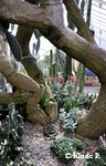 photo no 10