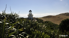photo no 4