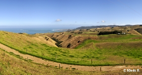 photo no 8