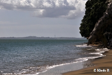 photo no 11