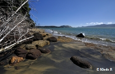 photo no 12