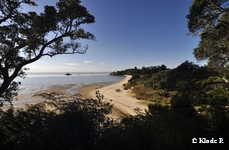 photo no 17