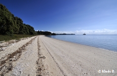 photo no 19