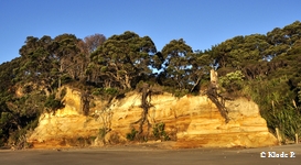 photo no 2